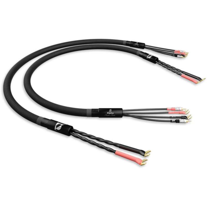 Signal Projects Studio Series Alpha Speaker Cables (Signle Wiring)  