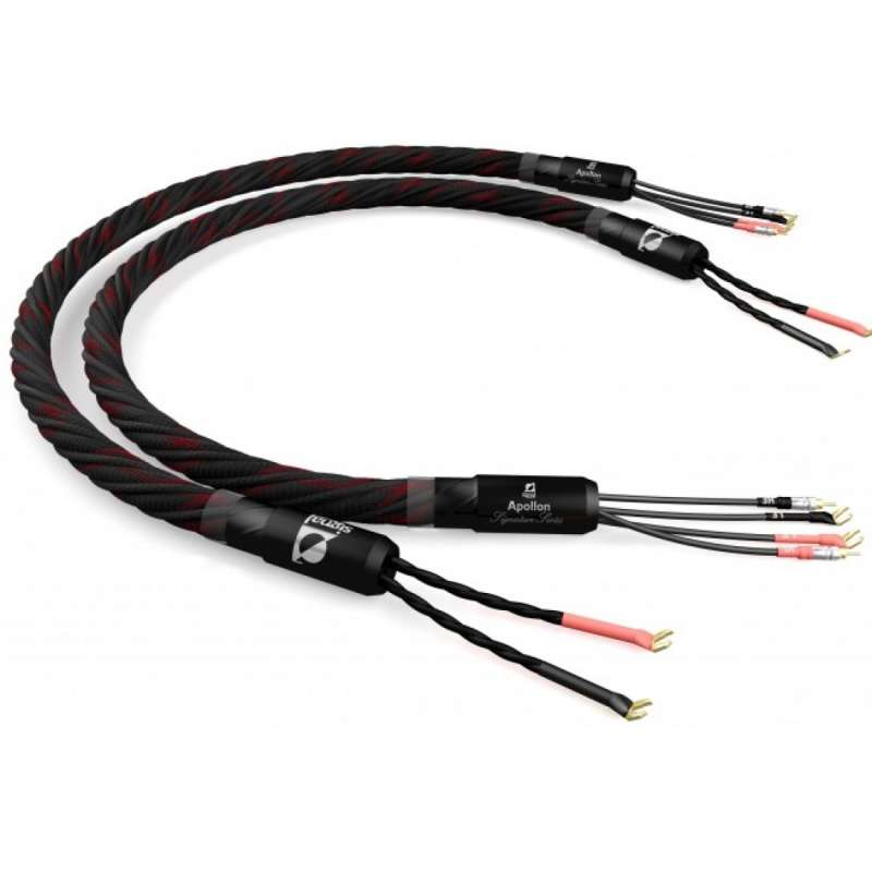 Signal Projects Signature Series Apollon Speaker Cables (Signle Wiring)  