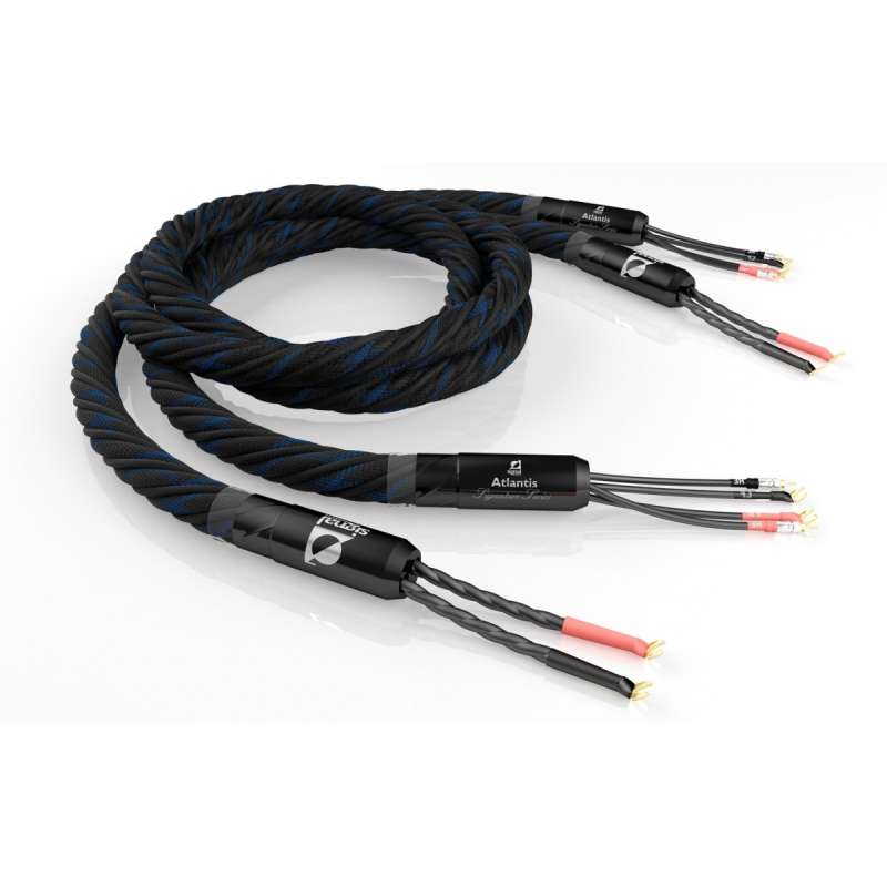 Signal Projects Signature Series Atlantis Speaker Cables (Signle Wiring)  